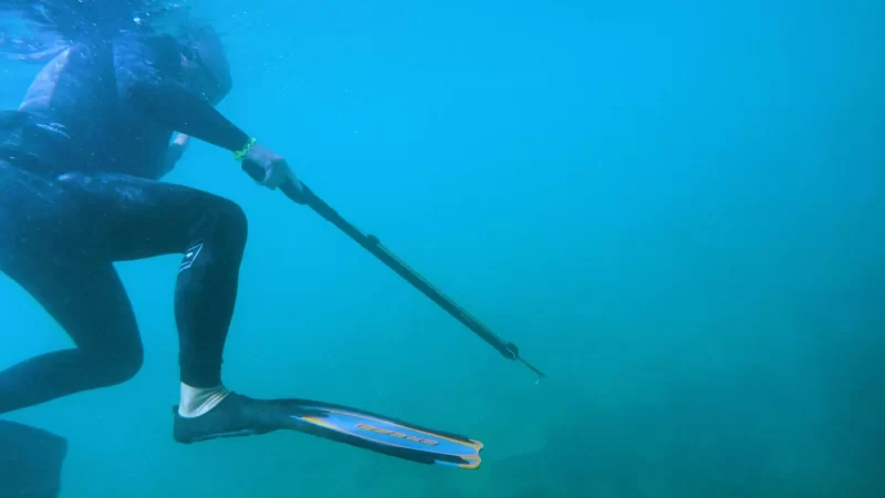 Spearfishing (6)
